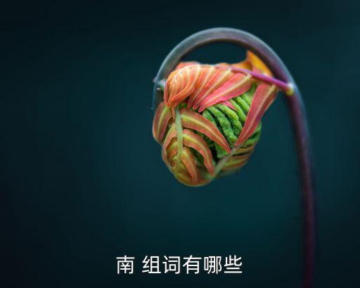 南字組詞,南極圈之南中國的南組詞