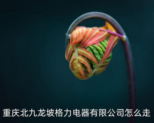 重慶北九龍坡格力電器有限公司怎么走