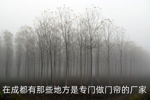 成都市專做門簾，成都哪有線簾家庭裝飾的