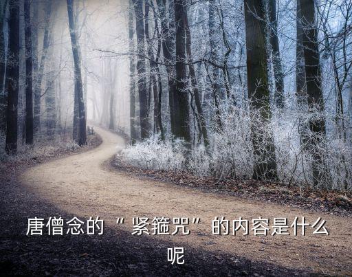 唐僧念緊箍咒,唐三藏看了十遍緊箍咒:為實(shí)驗(yàn)效果看了一遍