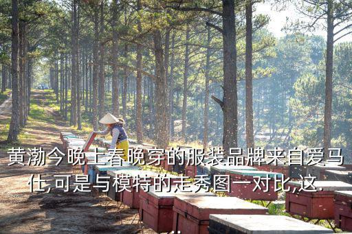 黃渤春晚,除夕夜20點以外的春晚