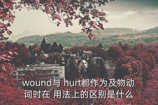hurt的用法,首次使用過去式表達傷害時需注意什么?