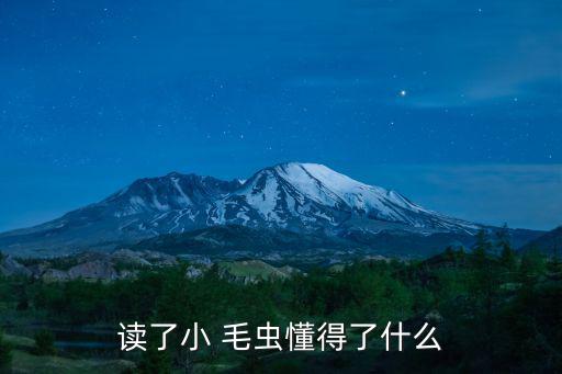 讀了小 毛蟲懂得了什么