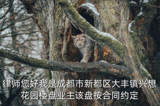 成都市新都區新東小區的答復，新東社區在那里