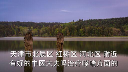 天津市北辰區 紅橋區 河北區 附近有好的中醫大夫嗎治療哮喘方面的
