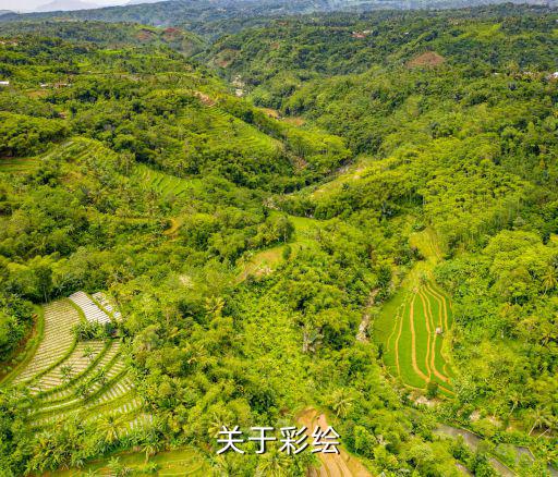 關(guān)于彩繪