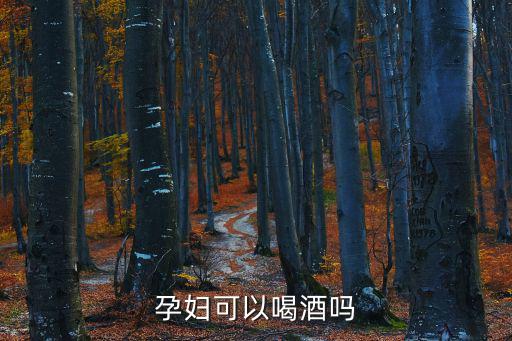 孕婦可以喝酒嗎