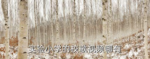 天津市實驗小學(xué) 校歌，實驗小學(xué)的校歌視頻哪有
