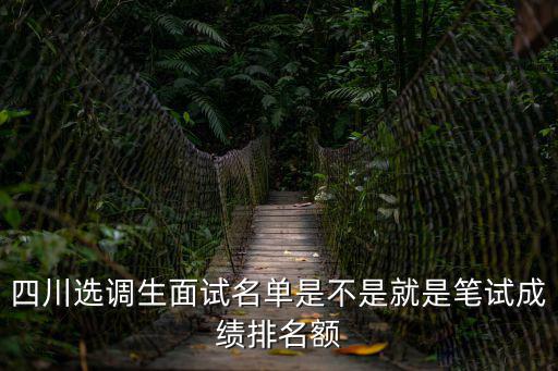 四川選調(diào)生面試名單是不是就是筆試成績排名額