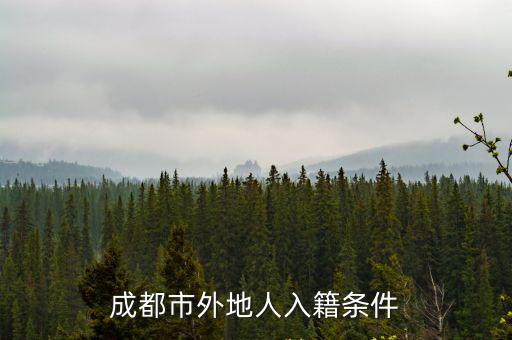 成都市外地人入籍條件