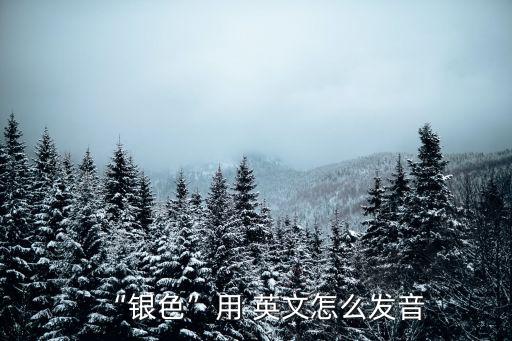 “銀色”用 英文怎么發(fā)音