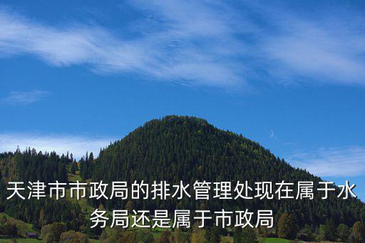 天津市市政局的排水管理處現在屬于水務局還是屬于市政局