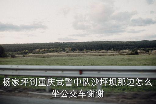 楊家坪到重慶武警中隊沙坪壩那邊怎么坐公交車謝謝