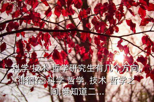 科學 技術 哲學研究生有幾個方向,徘徊在:科學 哲學, 技術 哲學之間,誰知道二...