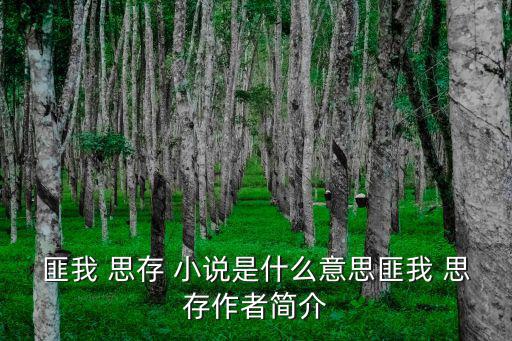 匪我思存的小說(shuō),第二部:《撕錦》第二集