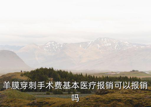 羊膜穿刺手術費基本醫療報銷可以報銷嗎