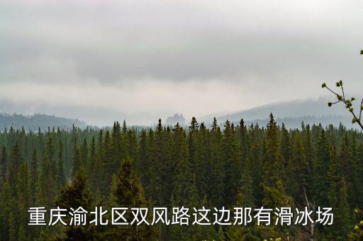 重慶渝北區雙風路這邊那有滑冰場