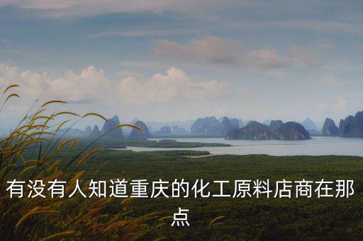 重慶市博源化工有限公司，重慶有哪些好的化工企業
