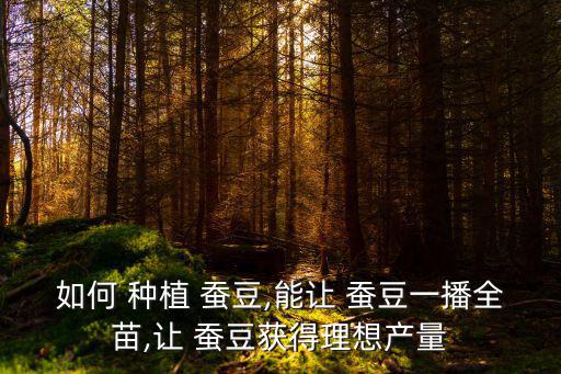 蠶豆種植,豆類怎么種?