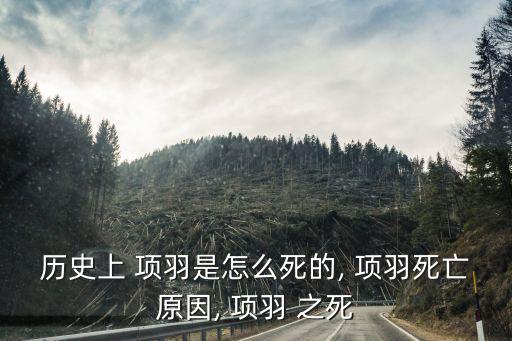 歷史上 項(xiàng)羽是怎么死的, 項(xiàng)羽死亡原因, 項(xiàng)羽 之死