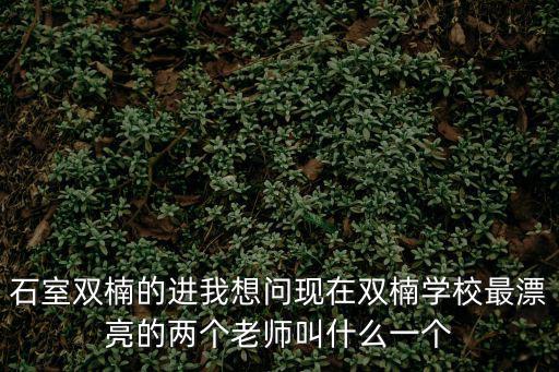 成都市石室小學(xué)老師，請問成都石室聯(lián)中的趙國勇老師數(shù)學(xué)教的好不好啊