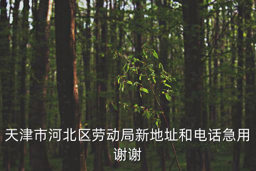 天津市河北區勞動局新地址和電話急用謝謝