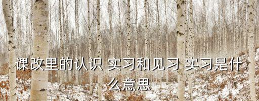 課改里的認識 實習和見習 實習是什么意思