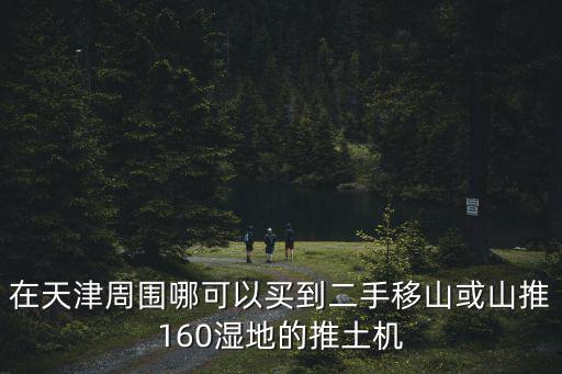 在天津周圍哪可以買到二手移山或山推160濕地的推土機