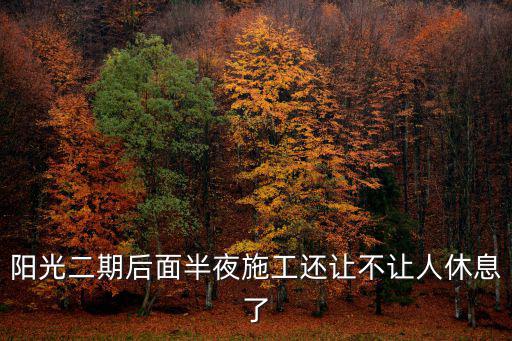 陽(yáng)光二期后面半夜施工還讓不讓人休息了