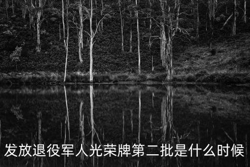 發放退役軍人光榮牌第二批是什么時候