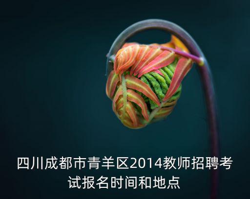 成都市錦里小學教師招聘，2012成都市高新區教育局中小學教師招聘
