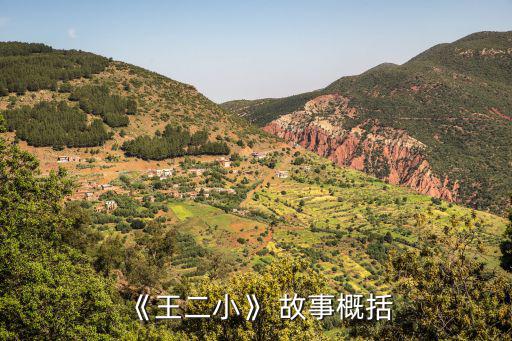 《王二小》 故事概括