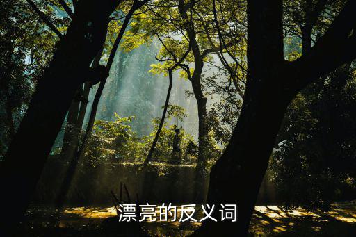 漂亮的反義詞