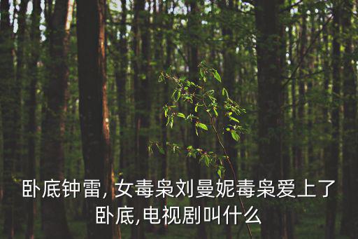 臥底鐘雷, 女毒梟劉曼妮毒梟愛上了臥底,電視劇叫什么