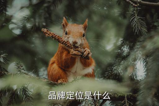 品牌定位是什么