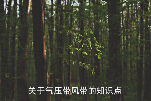 氣壓帶風帶，氣壓帶風帶形成原因