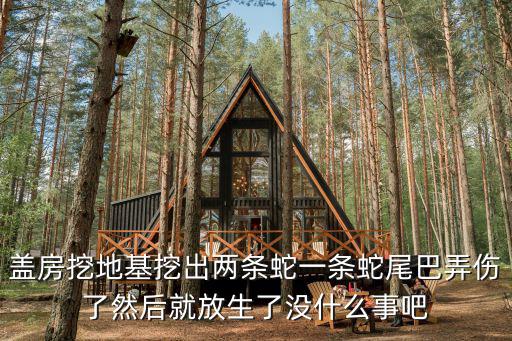 天津市北辰區挖地蟒蛇，天津挖出過大蛇嗎