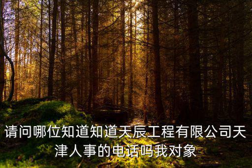 請問哪位知道知道天辰工程有限公司天津人事的電話嗎我對象