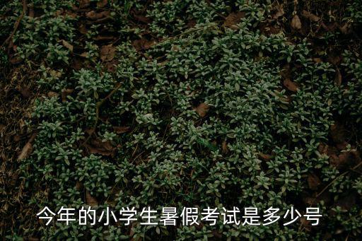 2019成都市中小學(xué)暑假考試時(shí)間，成都郫縣實(shí)驗(yàn)小學(xué)暑期期末考試時(shí)間因?yàn)橐啓C(jī)票