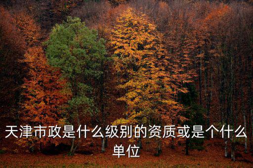 天津市政是什么級別的資質或是個什么單位