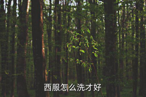 西服怎么洗才好