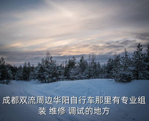 成都雙流周邊華陽自行車那里有專業(yè)組裝 維修 調(diào)試的地方