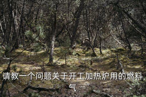 請教一個問題關于開工加熱爐用的燃料氣