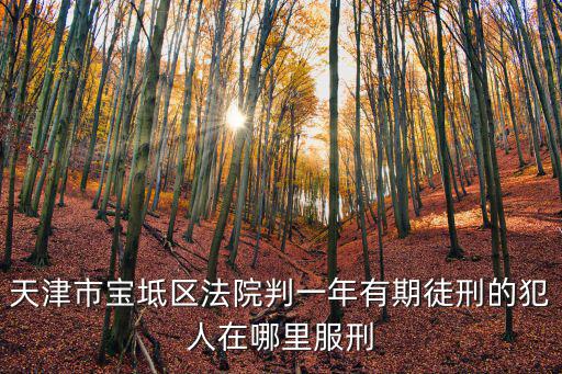 天津市寶坻區(qū)法院判一年有期徒刑的犯人在哪里服刑