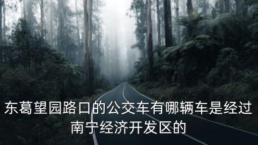 南寧華成都市到東葛望園路口，南寧做哪路車去東葛園湖路口