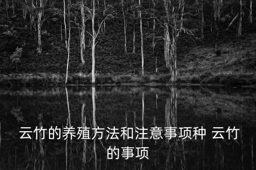 云竹怎么養,養殖云竹注意事項不要急著收盆
