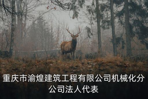 重慶市渝煌建筑工程有限公司機械化分公司法人代表