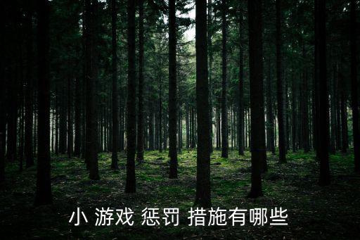 小 游戲 懲罰 措施有哪些