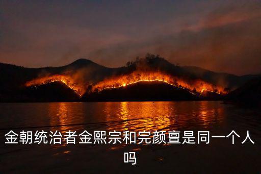 金朝統治者金熙宗和完顏亶是同一個人嗎
