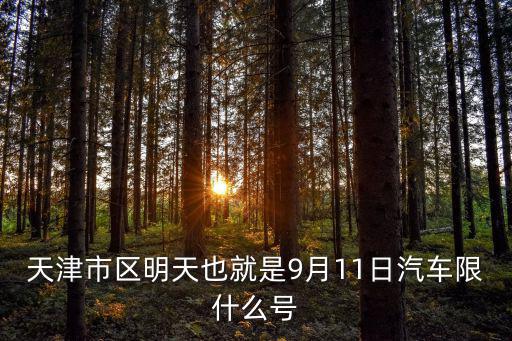 天津市區明天也就是9月11日汽車限什么號